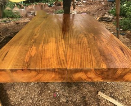 Sập gỗ dổi có màu vàng đặc trưng